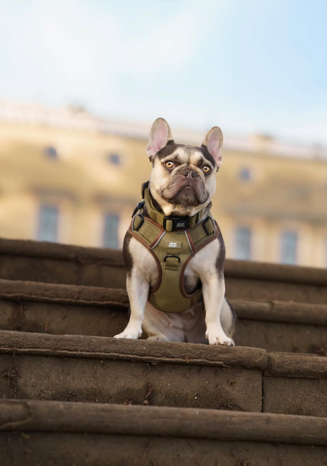 Trail Buddy Adjustable Tough Harness