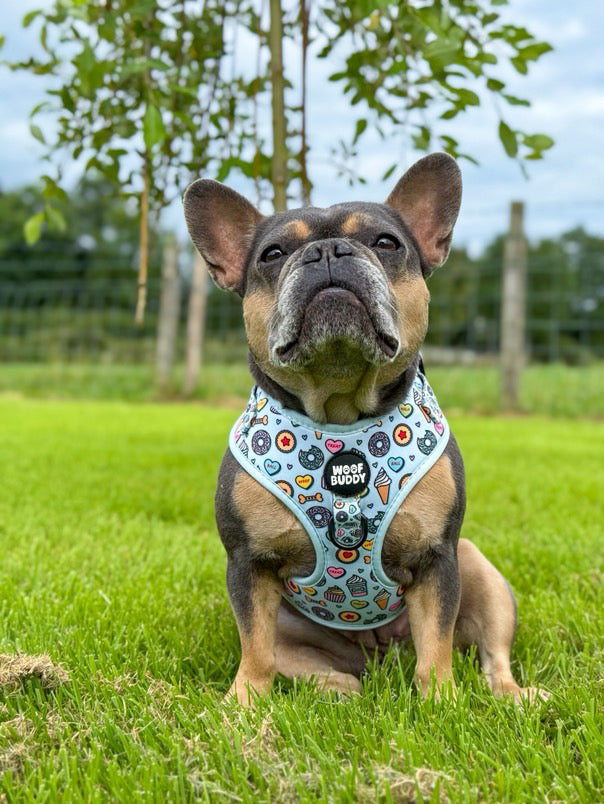 Some Buddy Loves You Adjustable Dog Harness